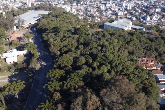 Festa da Uva autoriza uso de área para estudos de hotel 