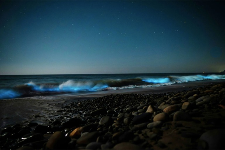 Turismo | Noctourism: 5 destinos para experiências noturnas