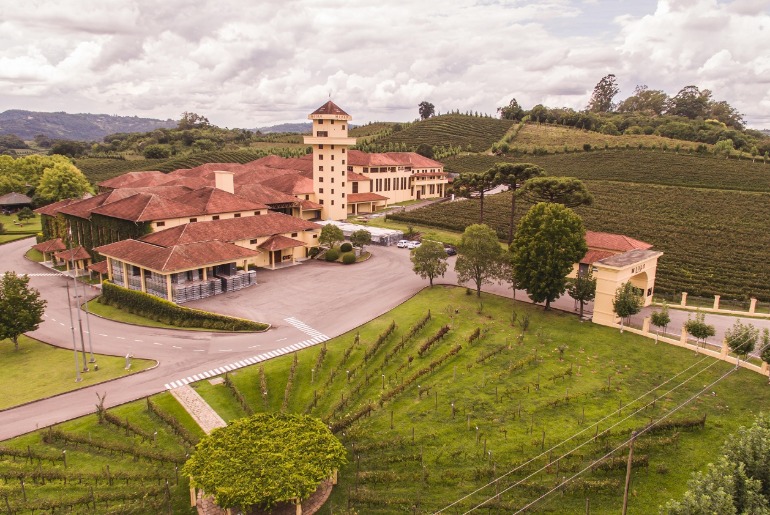    Miolo é eleita a marca de vinhos mais lembrada do RS