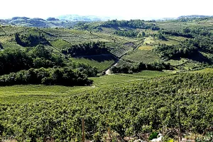 Comunidade e turistas chamados ao Vale dos Vinhedos em Bento