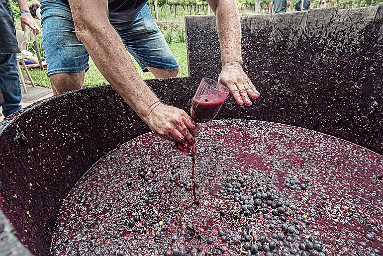 Comunidade e turistas chamados ao Vale dos Vinhedos em Bento
