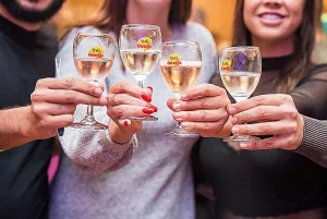 FestiQueijo 2026 abre venda de ingressos de lote promocional