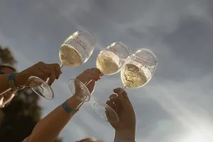 Mais de 8 mil pessoas viveram essência de um território vivo