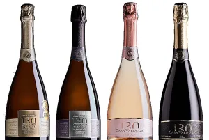 Casa Valduga soma 14 premiações no Guia Descorchados 2026