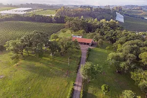 Vinícola Aurora será cenário do BAH BBQ Vinhos e Assados