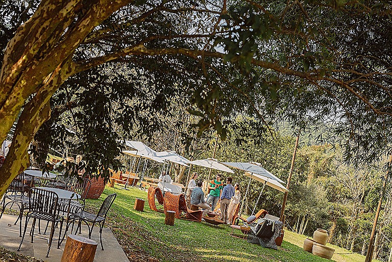 Chandon transforma ingrediente nativo em protagonista