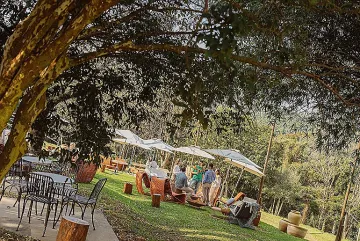 Chandon transforma ingrediente nativo em protagonista