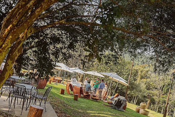 Chandon transforma ingrediente nativo em protagonista