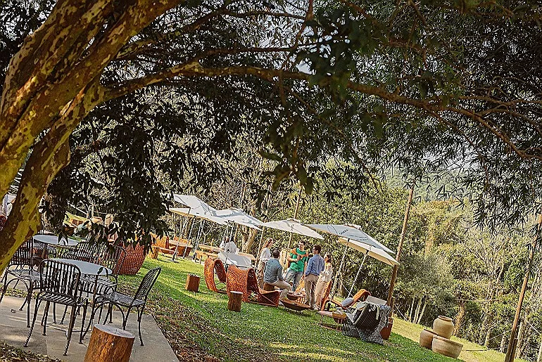 Chandon transforma ingrediente nativo em protagonista