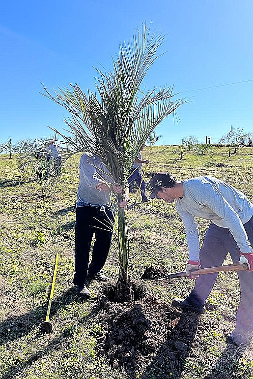 Chandon transforma ingrediente nativo em protagonista