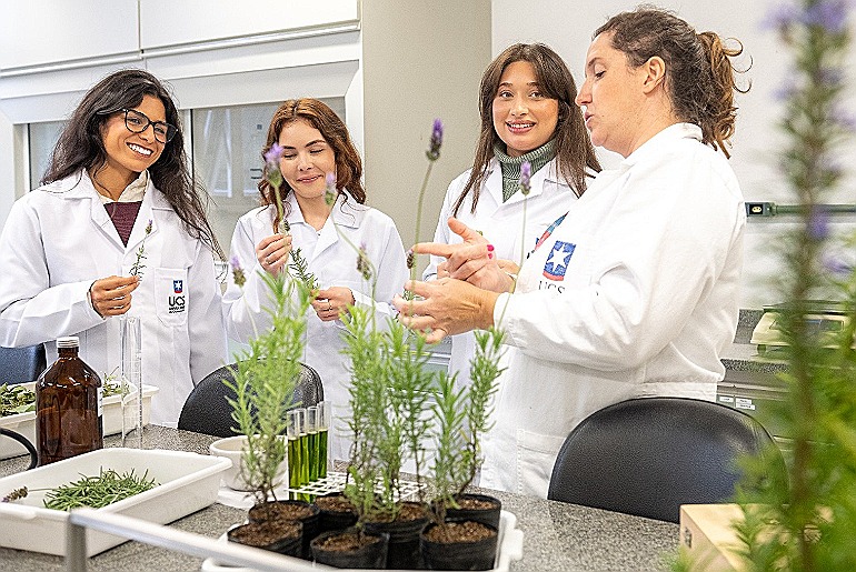 UCS está entre as marcas mais lembradas no Top of Mind RS 