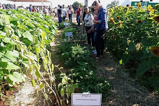 Emater/RS apresenta cultivo e uso de plantas na Exporural