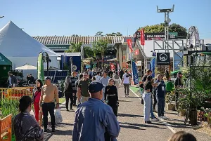 Fenachim completa 40 anos acompanhando modernização do setor de eventos