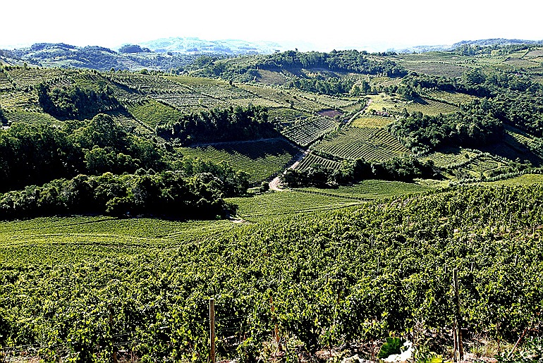 Vale dos Vinhedos na  Wine South America