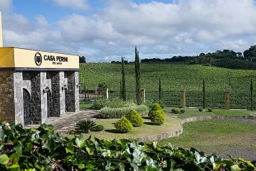 Casa Perini promove festival durante jogo da Seleção