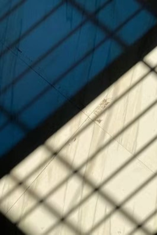 Medida protetiva decidida sem defesa: quando a sentença é nula