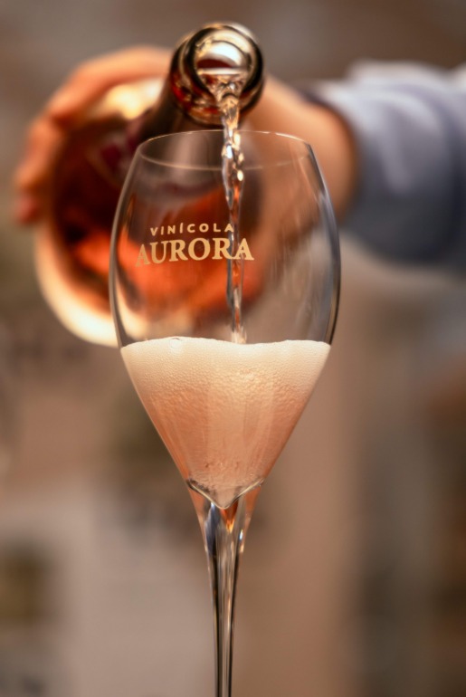 Cooperativa Vinícola Aurora ultrapassa 1.000 medalhas e reforça protagonismo do vinho brasileiro
