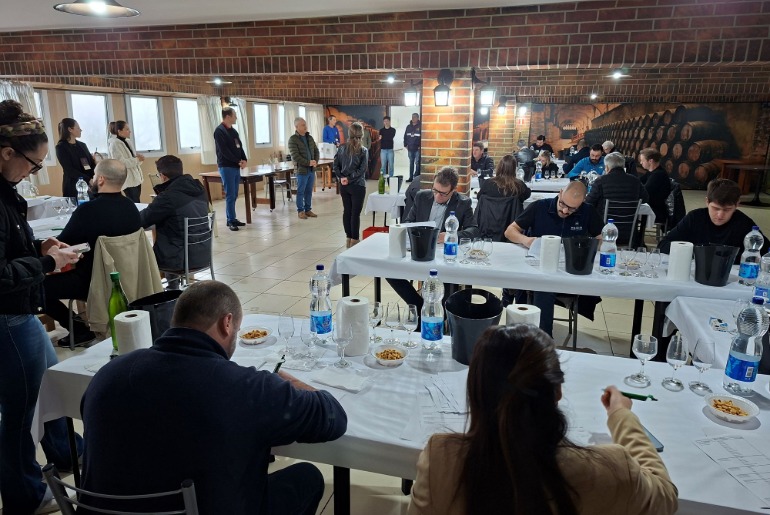 Concurso Melhores Vinhos 2026: começa avaliação das 487 amostras inscritas