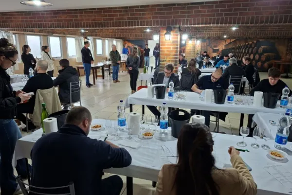 Concurso Melhores Vinhos 2026: começa avaliação das 487 amostras inscritas