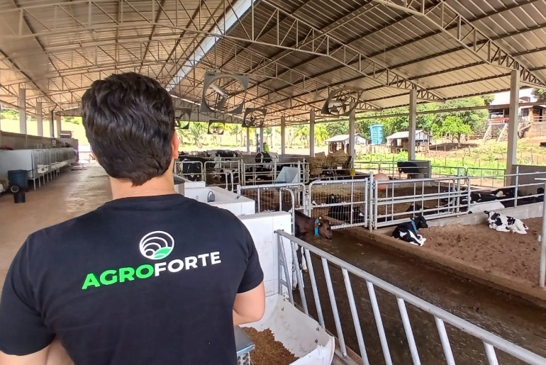 Acesso a crédito digital por pequenos e médios produtores salta mais de 400% no Sul do Brasil