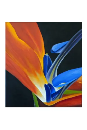 “Em Flor: A Imensidão na Proximidade do Olhar” é a primeira exposição individual de Ivana Carraro