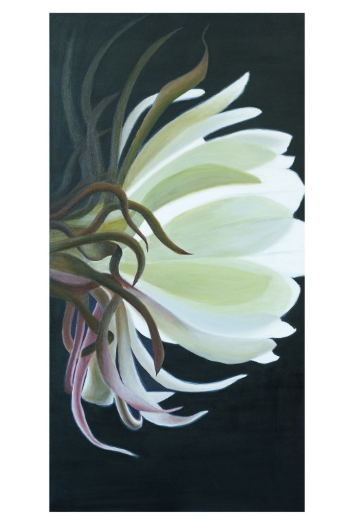 “Em Flor: A Imensidão na Proximidade do Olhar” é a primeira exposição individual de Ivana Carraro