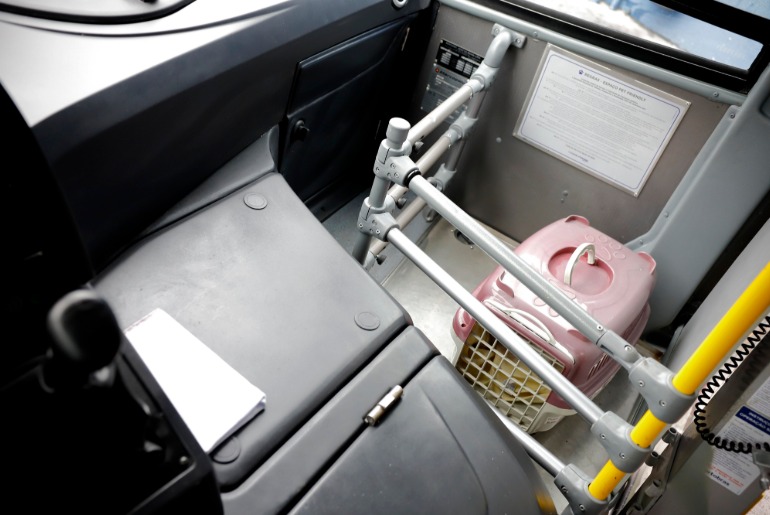 Novo modal | Pets enfim ganham espaço no transporte público caxiense
