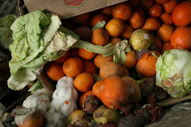 Até 526 milhões de toneladas de alimentos podem ser perdidas por falhas na refrigeração