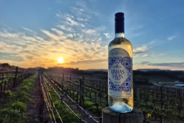  Cooperativa Vinícola Garibaldi promove Vinhas Vivas e espumantes premiados na ProWine São Paulo