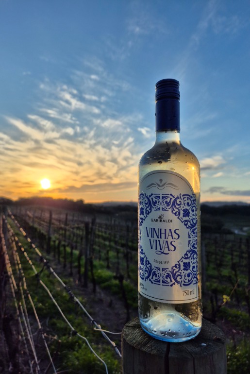  Cooperativa Vinícola Garibaldi promove Vinhas Vivas e espumantes premiados na ProWine São Paulo