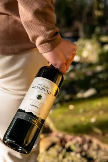 Marca gaúcha lidera mercado brasileiro de vinhos finos com mais de 2 milhões de garrafas vendidas