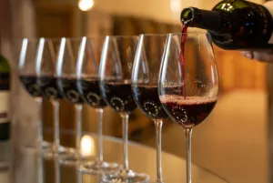 Cooperativa Vinícola Garibaldi apresenta resultados e oportunidades para a vitivinicultura Brasileira
